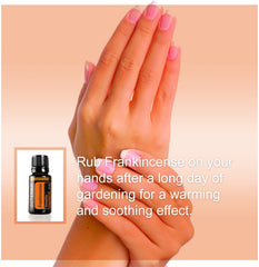 doTERRA Aceite Esencial Frankincense 15 ML - AKLOR soluciones para hoy